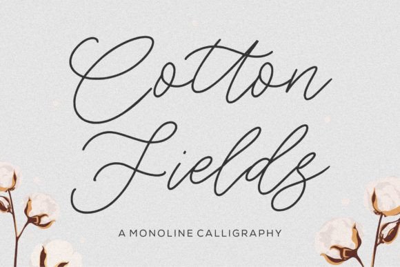 Cotton Fields by Balpirick Studio – Clean Modern Calligraphy